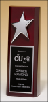 High Gloss SIlver Star Trophy (image for) High Gloss SIlver Star Trophy