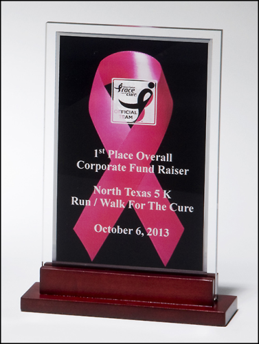(image for) Pink Ribbon Rectangle Award