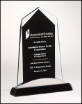 Apex Series Award (image for) Apex Series Award