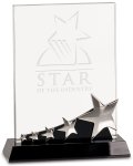 (image for) Premier Star Crystal Award