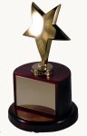 Gold Star Award (image for) Gold Star Award