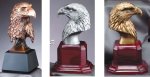 Eagle Head Series (image for) Eagle Head Series