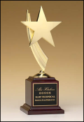(image for) Star Awards