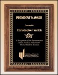 (image for) Premium Series Plaque