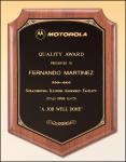 Shield Plaque (image for) Shield Plaque