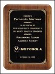 American Walnut Plaque (image for) American Walnut Plaque
