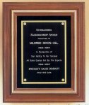 Touch of Gold Frame Plaque (image for) Touch of Gold Frame Plaque
