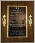 Torch Series Plaque (image for) Torch Series Plaque