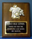 Jersey Series Plaque (image for) Jersey Series Plaque
