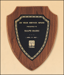 (image for) Sheffield Shield