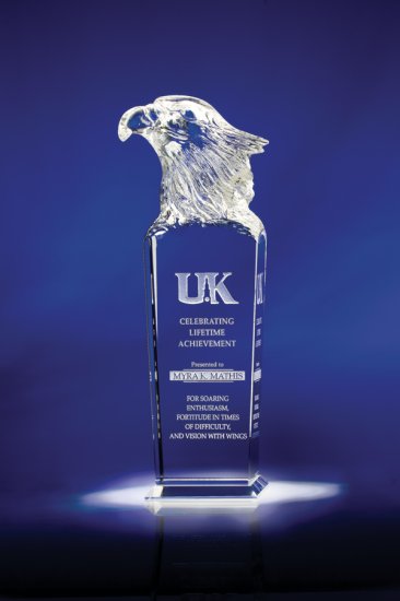 (image for) Optic Sky Master Award