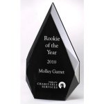 Flame Series Acrylic Award (image for) Flame Series Acrylic Award