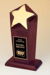 Outstanding Achievement Award (image for) Outstanding Achievement Award
